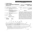 CATHETER HAVING A STEERABLE TIP diagram and image