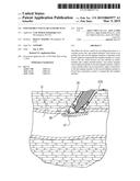 EXPANDABLE VASCULAR CLOSURE PLUG diagram and image