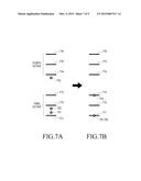 ELECTRONIC DEVICE SUPPORTING MUSIC PLAYING FUNCTION AND METHOD FOR     CONTROLLING THE ELECTRONIC DEVICE diagram and image