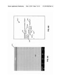 SYSTEM, METHOD AND APPARATUS FOR TRANSPARENTLY ENABLING SOFTWARE     APPLICATIONS WITH ADAPTIVE USER INTERFACES diagram and image