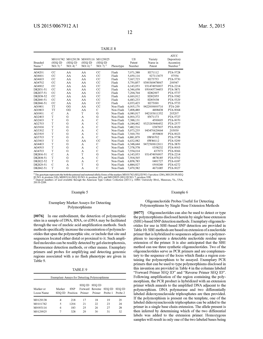 Molecular Markers Associated With Yellow Flash in Glyphosate Tolerant     Soybeans - diagram, schematic, and image 13