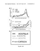 Transgenic Plants And A Transient Transformation System For Genome-Wide     Transcription Factor Target Discovery diagram and image