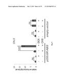 Transgenic Plants And A Transient Transformation System For Genome-Wide     Transcription Factor Target Discovery diagram and image