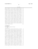 CONSTRUCTS FOR EXPRESSING TRANSGENES USING REGULATORY ELEMENTS FROM     BRACHYPODIUM UBIQUITIN 1C GENES diagram and image