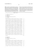 CONSTRUCTS FOR EXPRESSING TRANSGENES USING REGULATORY ELEMENTS FROM     BRACHYPODIUM UBIQUITIN 1C GENES diagram and image