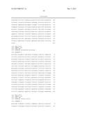 CONSTRUCTS FOR EXPRESSING TRANSGENES USING REGULATORY ELEMENTS FROM     BRACHYPODIUM UBIQUITIN 1C GENES diagram and image