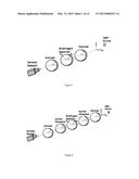 METHOD AND SYSTEM FOR REAL TIME INSPECTION OF A SILICON WAFER diagram and image