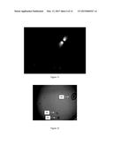 METHOD AND SYSTEM FOR REAL TIME INSPECTION OF A SILICON WAFER diagram and image