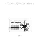 DIFFERENTIAL EXCITATION SPECTROSCOPY diagram and image