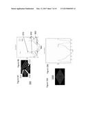 DOPED, PASSIVATED GRAPHENE NANOMESH, METHOD OF MAKING THE DOPED,     PASSIVATED GRAPHENE NANOMESH, AND SEMICONDUCTOR DEVICE INCLUDING THE     DOPED, PASSIVATED GRAPHENE NANOMESH diagram and image