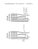 BOUNDARY-LINE-DETECTING DEVICE, BOUNDARY-LINE-DEVIATION DETECTING DEVICE,     AND BOUNDARY-LINE-DETECTION PROGRAM diagram and image