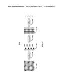 GENERALIZED ASSORTED PIXEL CAMERA SYSTEMS AND METHODS diagram and image