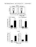 Method for inducing antitumor immunity using sindbis viral vectors and     tumor associated antigens diagram and image