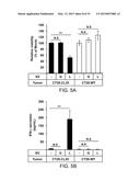 Method for inducing antitumor immunity using sindbis viral vectors and     tumor associated antigens diagram and image