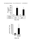 Method for inducing antitumor immunity using sindbis viral vectors and     tumor associated antigens diagram and image