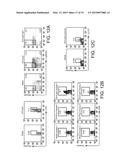 Method for inducing antitumor immunity using sindbis viral vectors and     tumor associated antigens diagram and image