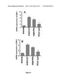 METHODS AND COMPOSITIONS FOR REDUCING THE INCIDENCE OF POST-SURGICAL     ADHESIONS diagram and image