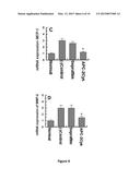 METHODS AND COMPOSITIONS FOR REDUCING THE INCIDENCE OF POST-SURGICAL     ADHESIONS diagram and image