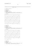 COMBINATION THERAPY OF AN AFUCOSYLATED CD20 ANTIBODY WITH A mTOR INHIBITOR diagram and image