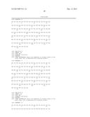 COMBINATION THERAPY OF AN AFUCOSYLATED CD20 ANTIBODY WITH A mTOR INHIBITOR diagram and image