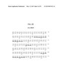 PROPHYLAXIS OF COLORECTAL AND GASTROINTESTINAL CANCER diagram and image