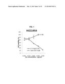 COMBINATION THERAPY USING C-MET INHIBITOR AND BETA-CATENIN INHIBITOR diagram and image