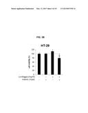 COMBINATION THERAPY USING C-MET INHIBITOR AND BETA-CATENIN INHIBITOR diagram and image