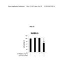 COMBINATION THERAPY USING C-MET INHIBITOR AND BETA-CATENIN INHIBITOR diagram and image