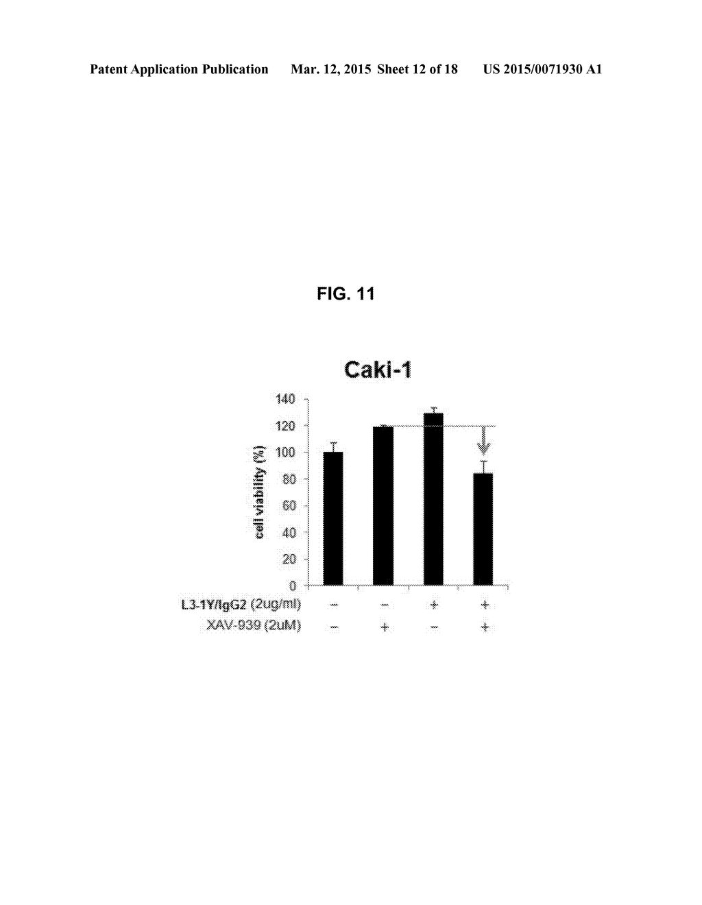 COMBINATION THERAPY USING C-MET INHIBITOR AND BETA-CATENIN INHIBITOR - diagram, schematic, and image 13