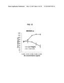 COMBINATION THERAPY USING C-MET INHIBITOR AND BETA-CATENIN INHIBITOR diagram and image