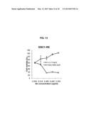 COMBINATION THERAPY USING C-MET INHIBITOR AND BETA-CATENIN INHIBITOR diagram and image