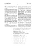 COMBINATION THERAPY USING C-MET INHIBITOR AND BETA-CATENIN INHIBITOR diagram and image