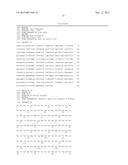 COMBINATION THERAPY USING C-MET INHIBITOR AND BETA-CATENIN INHIBITOR diagram and image