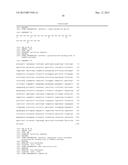 COMBINATION THERAPY USING C-MET INHIBITOR AND BETA-CATENIN INHIBITOR diagram and image