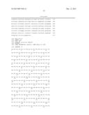 COMBINATION THERAPY USING C-MET INHIBITOR AND BETA-CATENIN INHIBITOR diagram and image