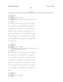 COMBINATION THERAPY USING C-MET INHIBITOR AND BETA-CATENIN INHIBITOR diagram and image