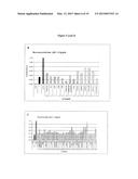 LM-Antibodies, Functional Fragments, LM-1 Target Antigen, and Methods for     Making and Using Same diagram and image