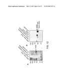 LM-Antibodies, Functional Fragments, LM-1 Target Antigen, and Methods for     Making and Using Same diagram and image