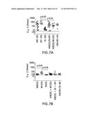 STABLE PEPTIDE MIMETICS OF THE HIV-1 GP41 PRE-HAIRPIN INTERMEDIATE diagram and image