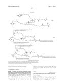 STABLE PEPTIDE MIMETICS OF THE HIV-1 GP41 PRE-HAIRPIN INTERMEDIATE diagram and image