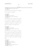 STABLE PEPTIDE MIMETICS OF THE HIV-1 GP41 PRE-HAIRPIN INTERMEDIATE diagram and image