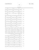 SIMIAN ADENOVIRUS 41 AND USES THEREOF diagram and image