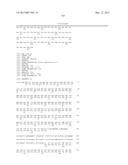 SIMIAN ADENOVIRUS 41 AND USES THEREOF diagram and image