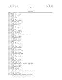 SIMIAN ADENOVIRUS 41 AND USES THEREOF diagram and image