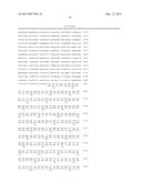 SIMIAN ADENOVIRUS 41 AND USES THEREOF diagram and image