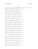 SIMIAN ADENOVIRUS 41 AND USES THEREOF diagram and image