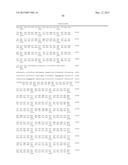 SIMIAN ADENOVIRUS 41 AND USES THEREOF diagram and image