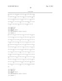 SIMIAN ADENOVIRUS 41 AND USES THEREOF diagram and image