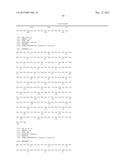 SIMIAN ADENOVIRUS 41 AND USES THEREOF diagram and image