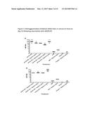 METHODS AND COMPOSITIONS FOR VIRAL VECTORED VACCINES diagram and image